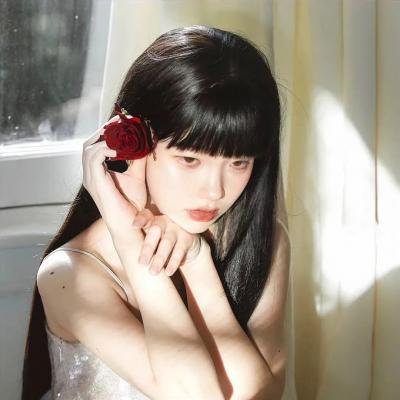 宝窗选婿